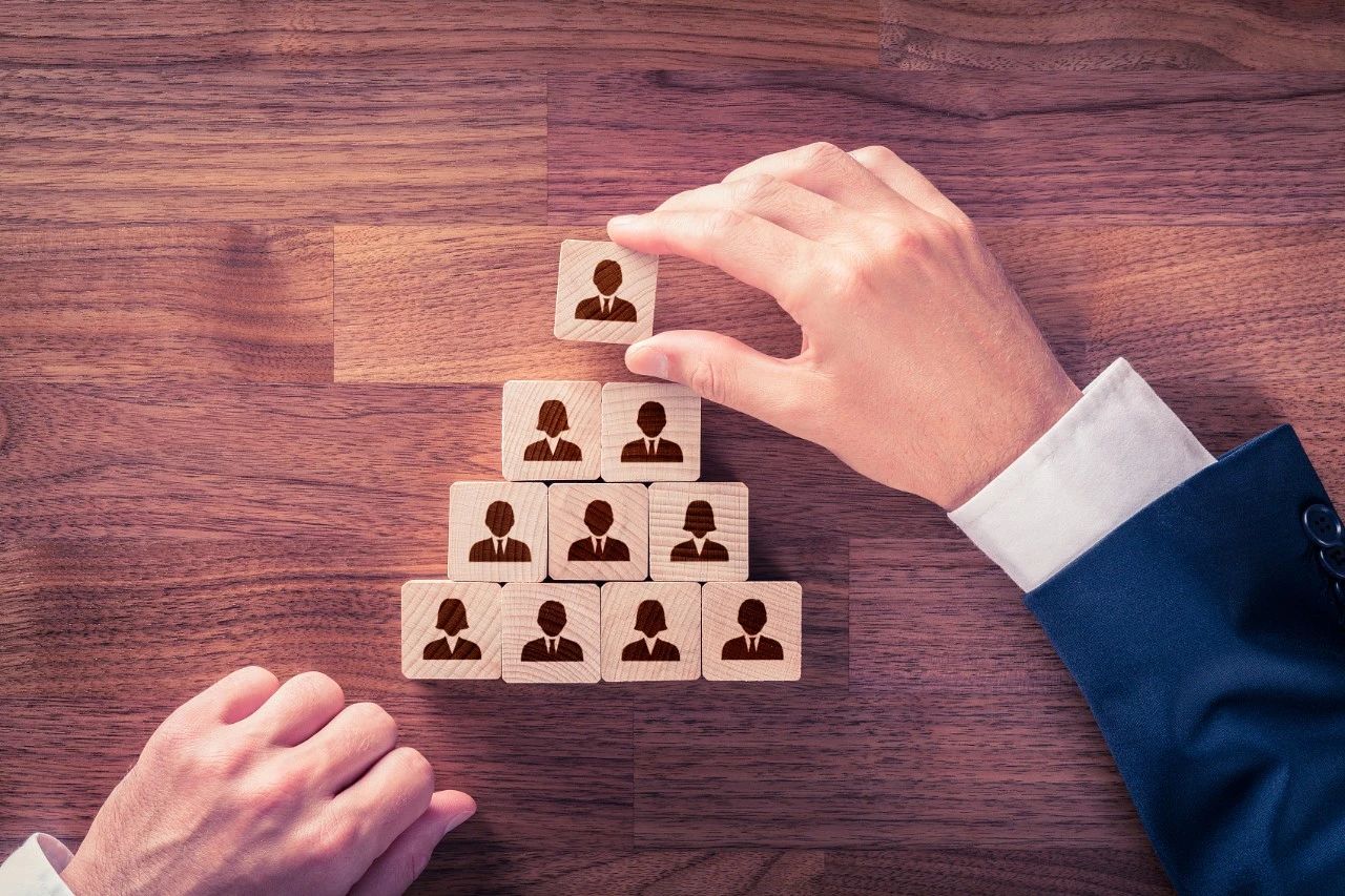 梵蜜琳代理技巧,梵蜜琳割韭菜的视频