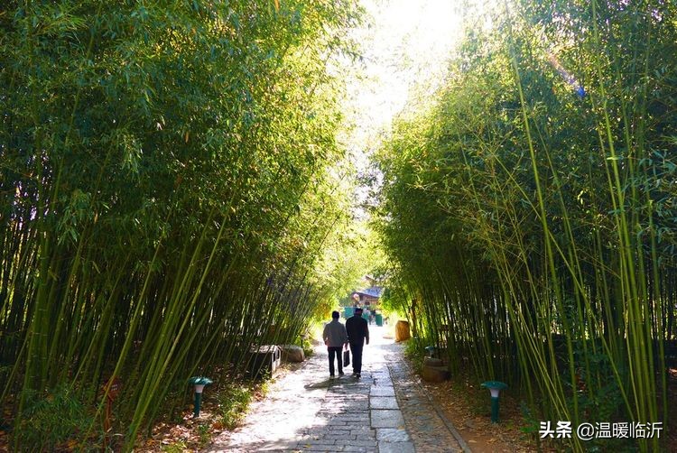 竹泉村景区,最美竹泉村
