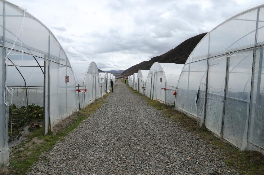 卫健局帮扶乡村振兴,健康扶贫为精准脱贫提供健康保障