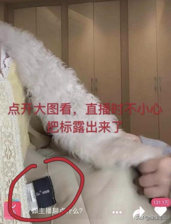 直播带货成“后浪”第一批电商网红已在沙滩上？