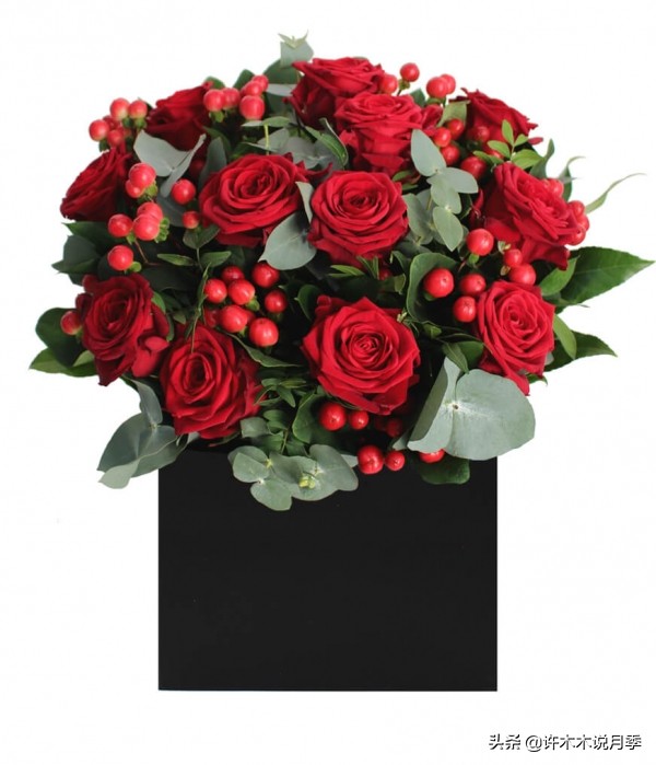 蔷薇月季玫瑰种多久才可以开花,蔷薇和月季开花区别