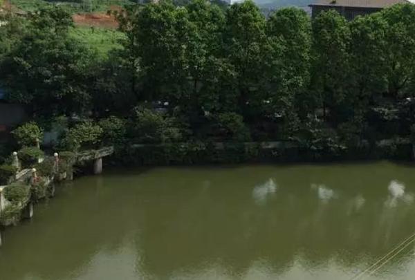 重庆主城周边农家乐推荐,重庆主城性价比高的农家乐及价格