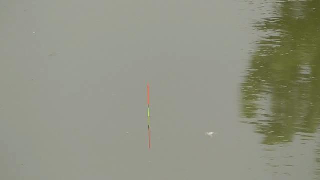 钓不到目标鱼,钓不到鱼的绝招