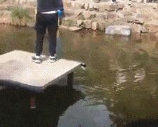 搞笑gif永远不要相信任何人,朋友圈gif背景搞笑