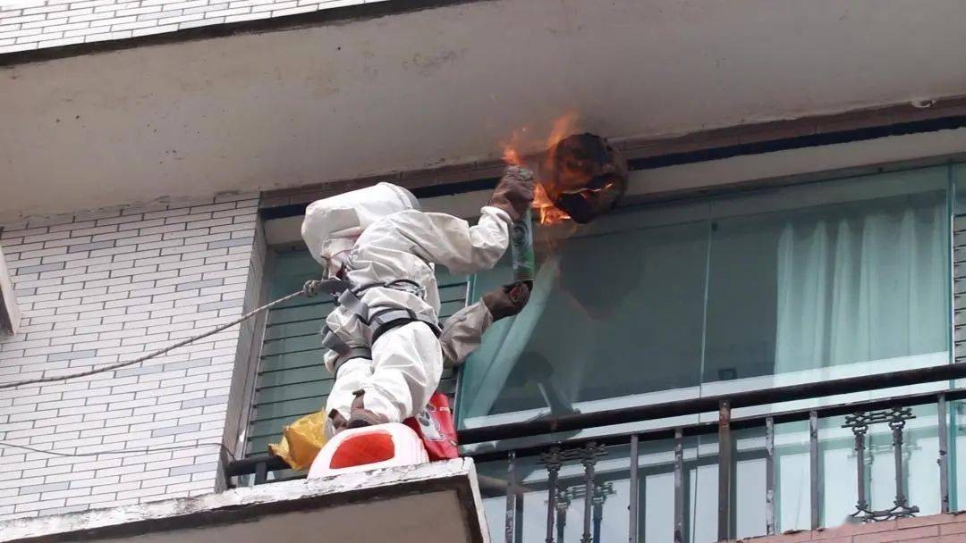 别人打马蜂后路人被攻击怎么办,打死马蜂会被其它马蜂报复吗