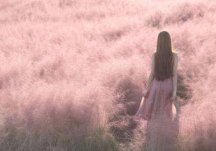 白茶清欢无别事温柔只留给意中人,白茶清欢邀明月