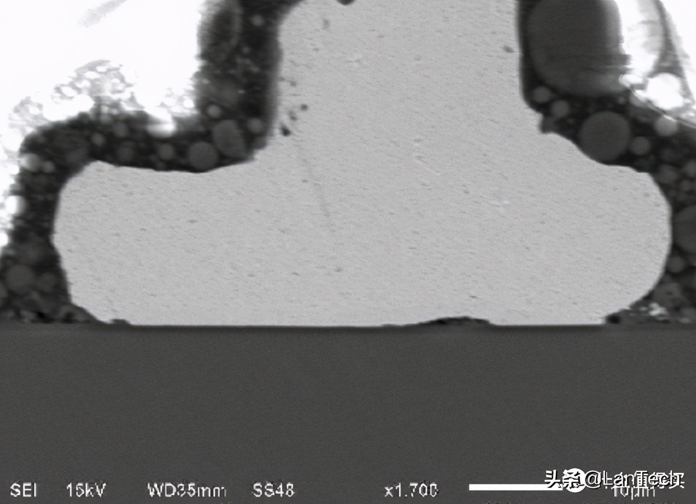 看芯片内部用什么显微镜,芯片在显微镜下的样子