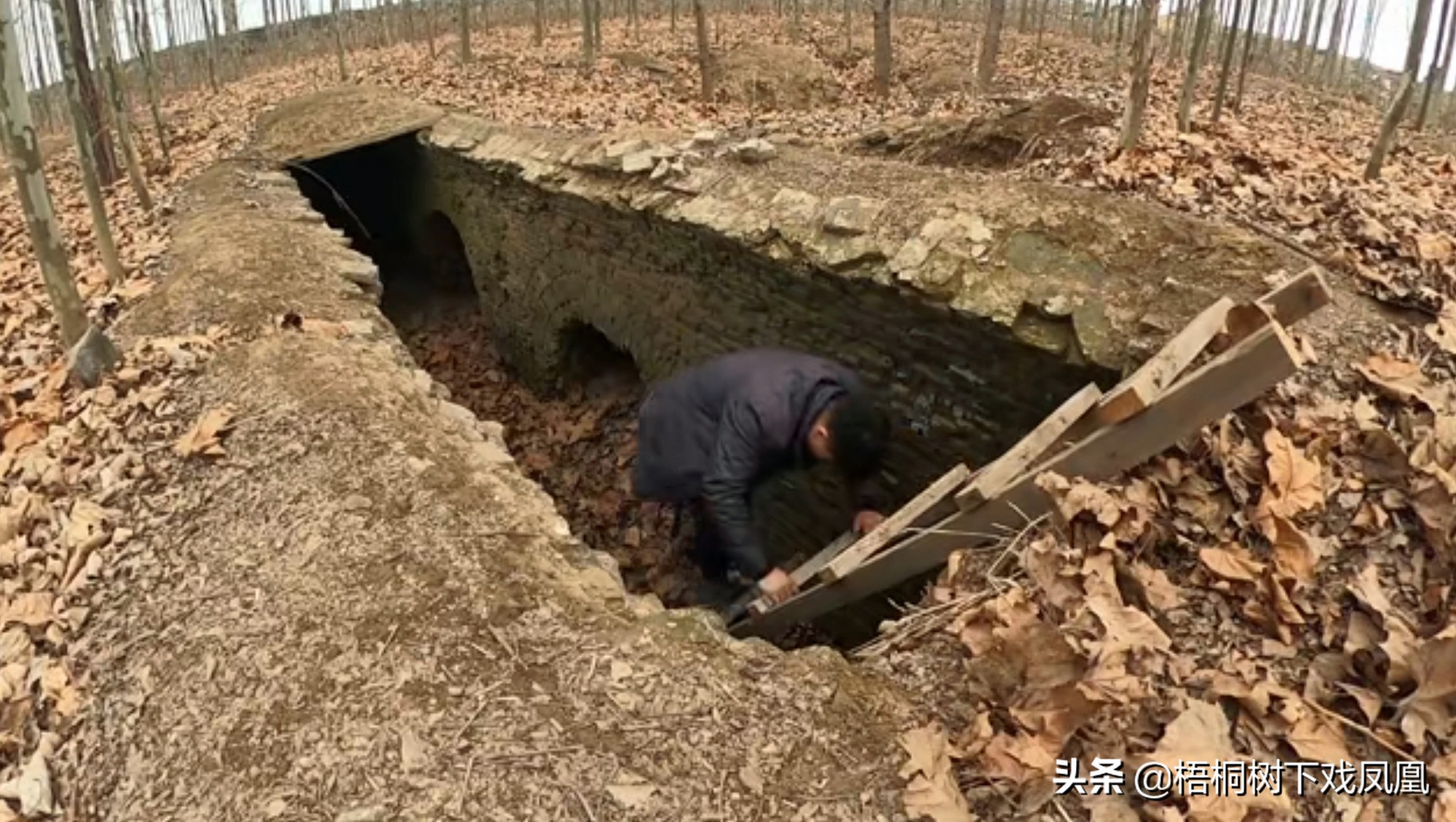 一个盗墓者的自述解说,一位盗墓者的自述实体书