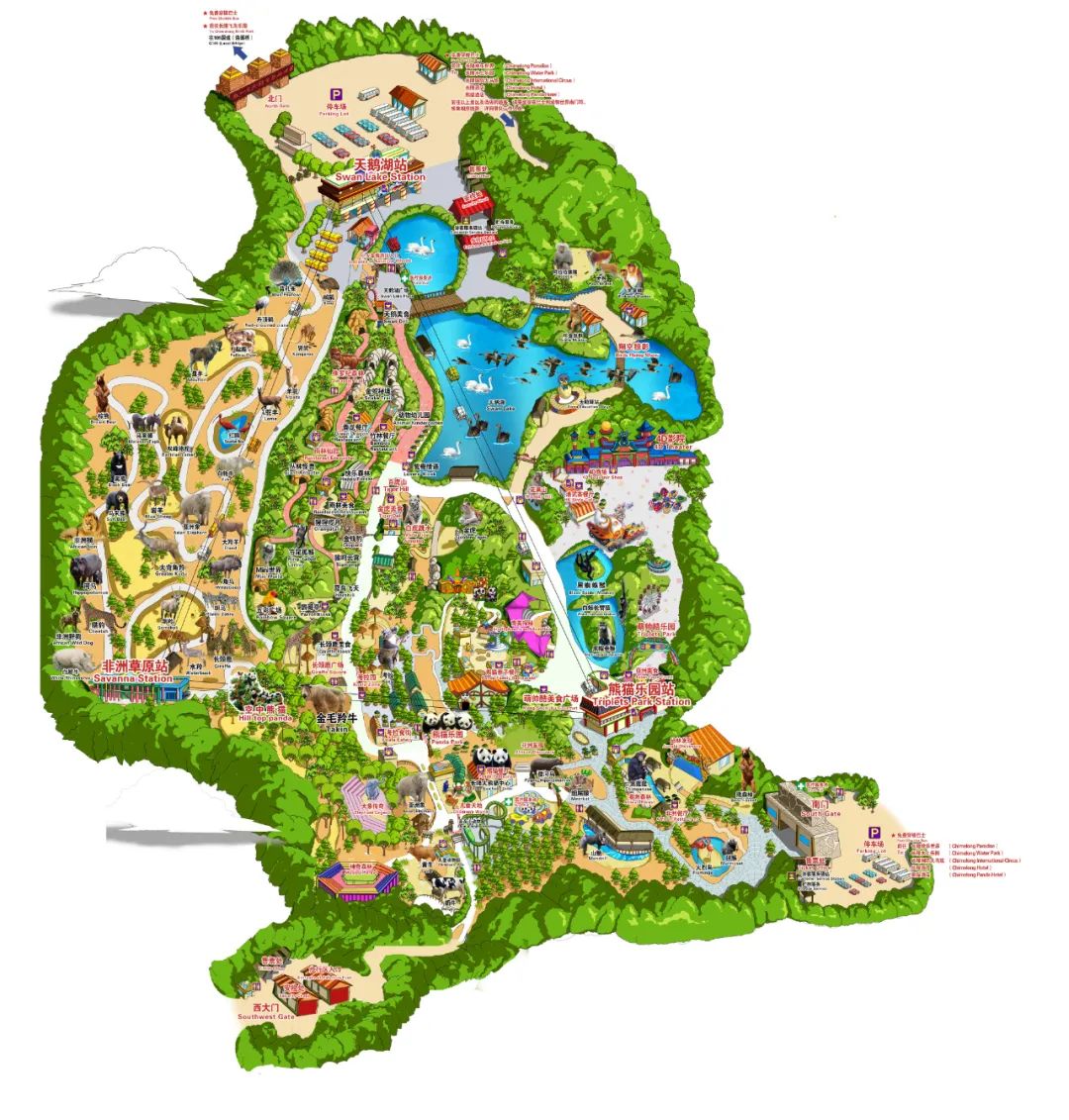 长隆野生动物世界暑假攻略,广州长隆野生动物园亲子一日游攻略