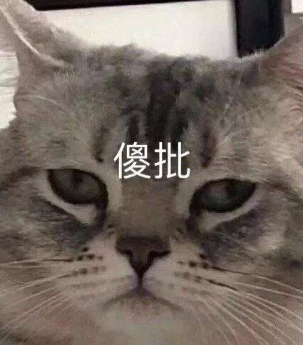 表情包搞笑沙雕惊讶的表情包,沙雕搞笑表情包动态