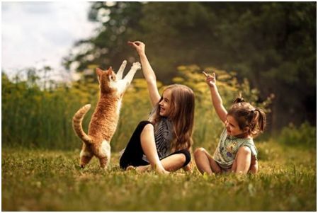 幼儿园投资风险,投资幼儿园有哪些风险