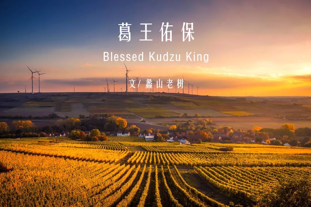 葛王佑保（中英双语）