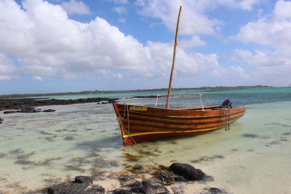 迅实资本重组上市,迅实资本有多少资产