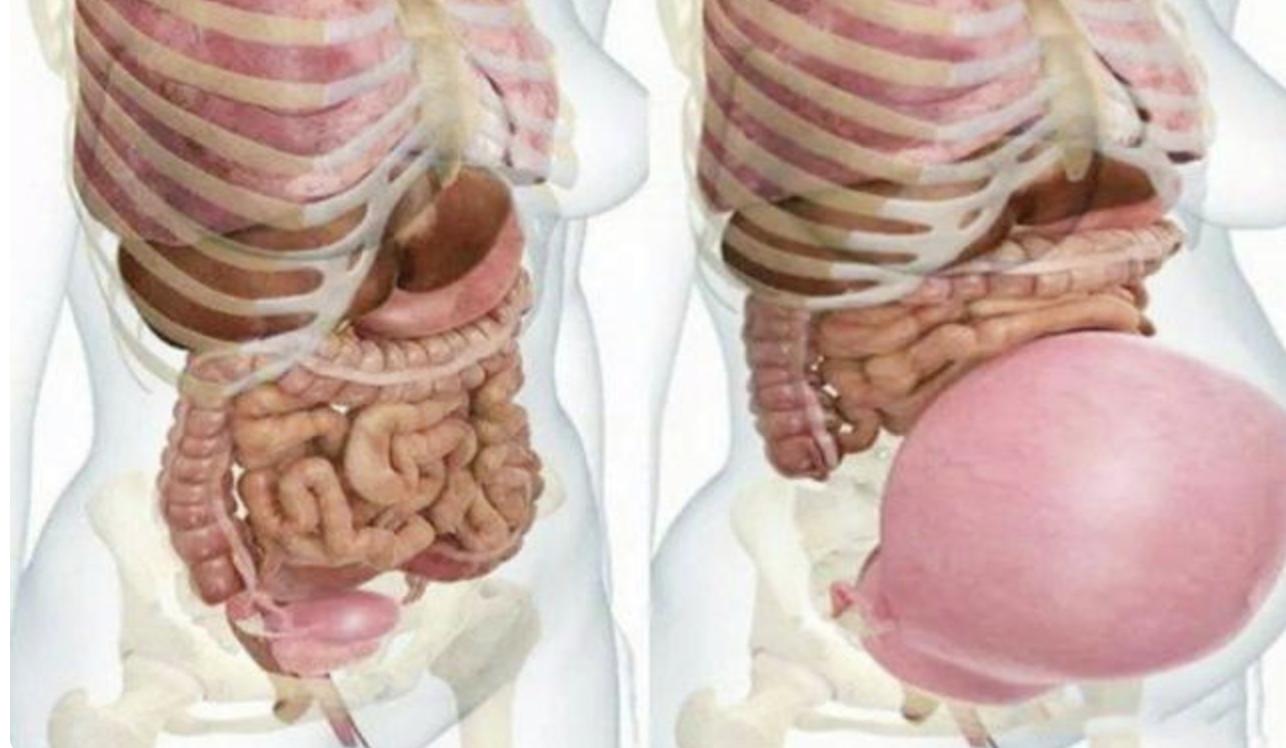 孕妈多少个月肚子才显大,孕妈的肚子又大又圆