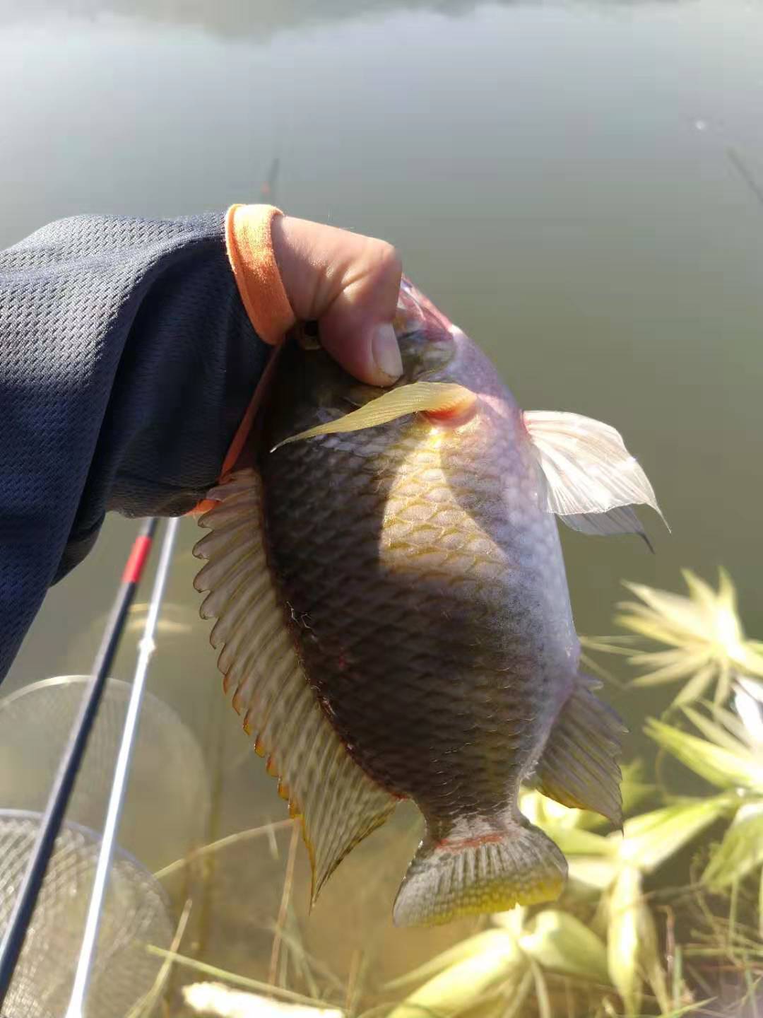 线组的正确组合和影响,线组怎么选择大小