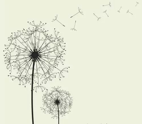 有心同读丨省政协原副主席陈光：虽只是个过客，却细细品尝了菏泽味道