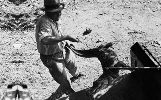 连环杀手最可怕的一集,真实连环杀手案例