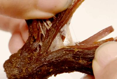 中国牛肉看内蒙，内蒙牛肉数通辽