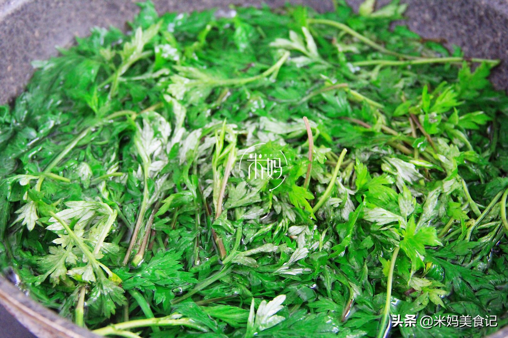 清明节前后有什么野菜可以吃,清明吃的野菜大全