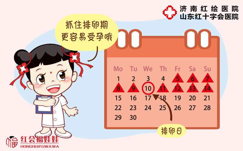 排卵期间什么感觉都没有正常吗,排卵期会有哪些不适症状