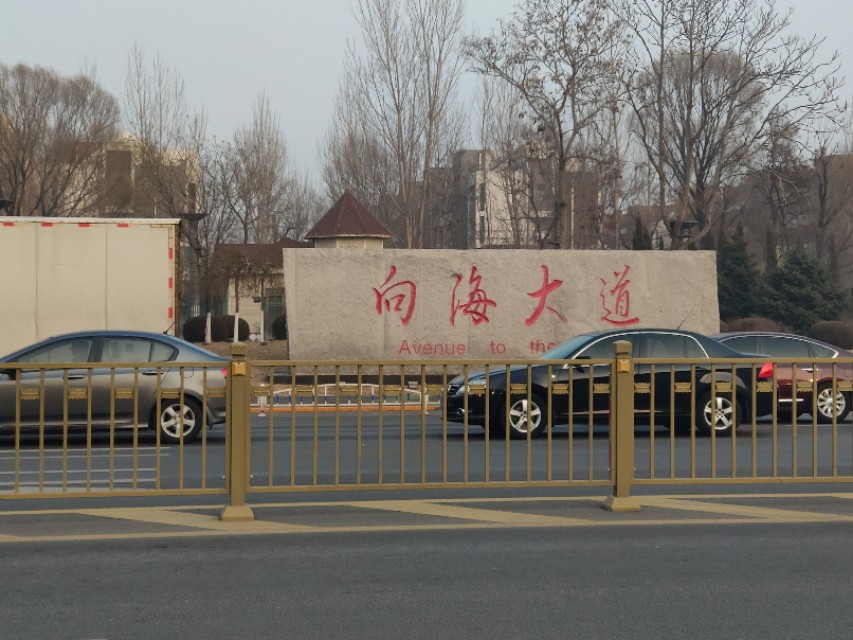 阳光跑者一路沿着向海大道跑串盘锦三个区,沿途风光无限好。