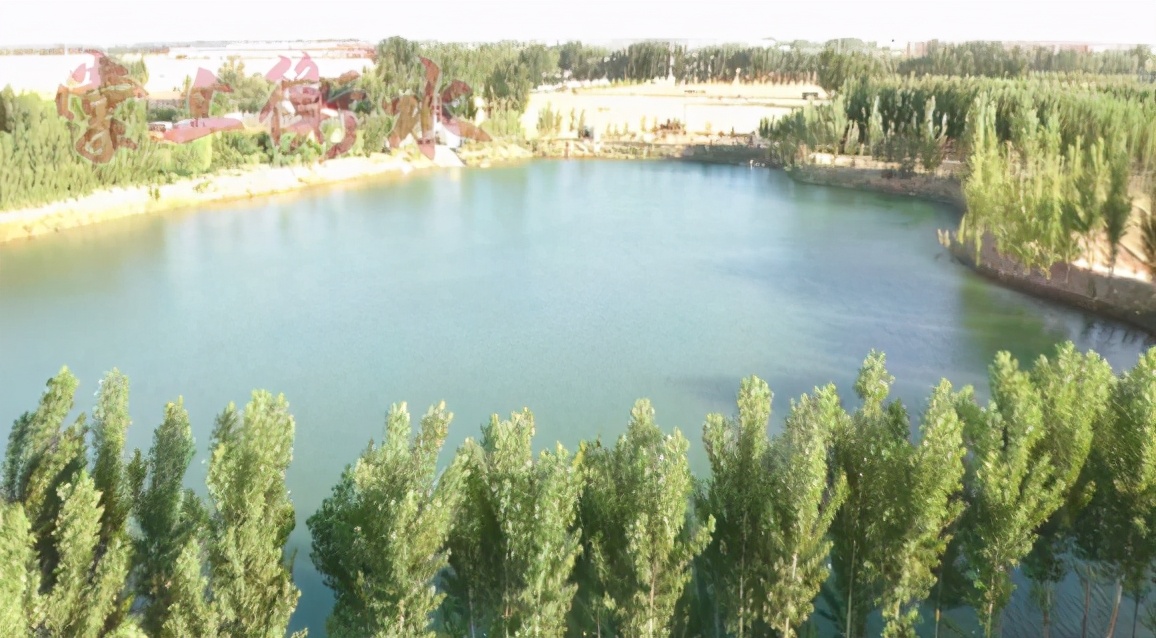 农村坑塘改造图片,昔日废坑塘变身乡村风景线