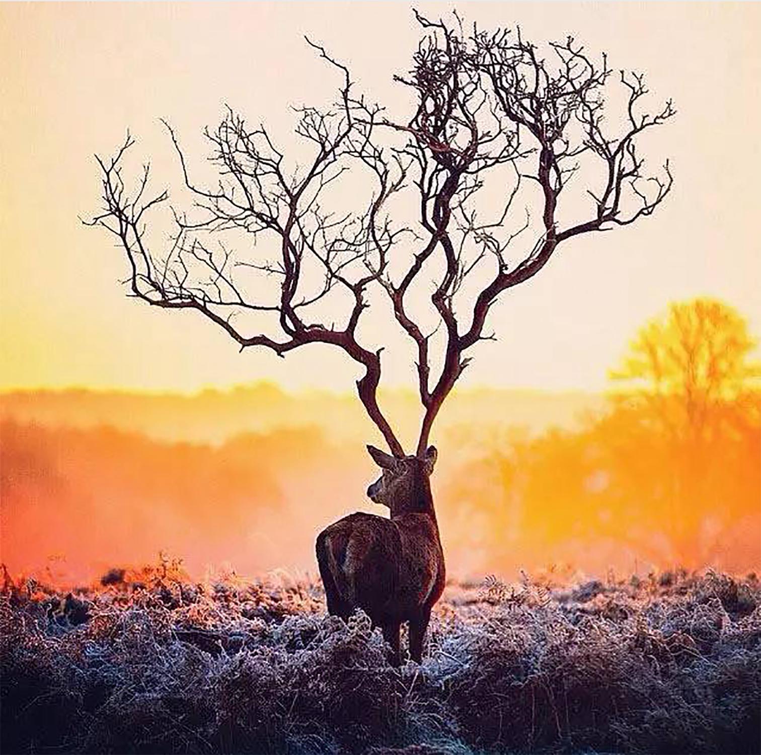 ps入门修图教程零基础,ps零基础修图教程新手入门