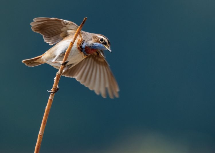 情人岛拍摄地点,情人岛航拍视频