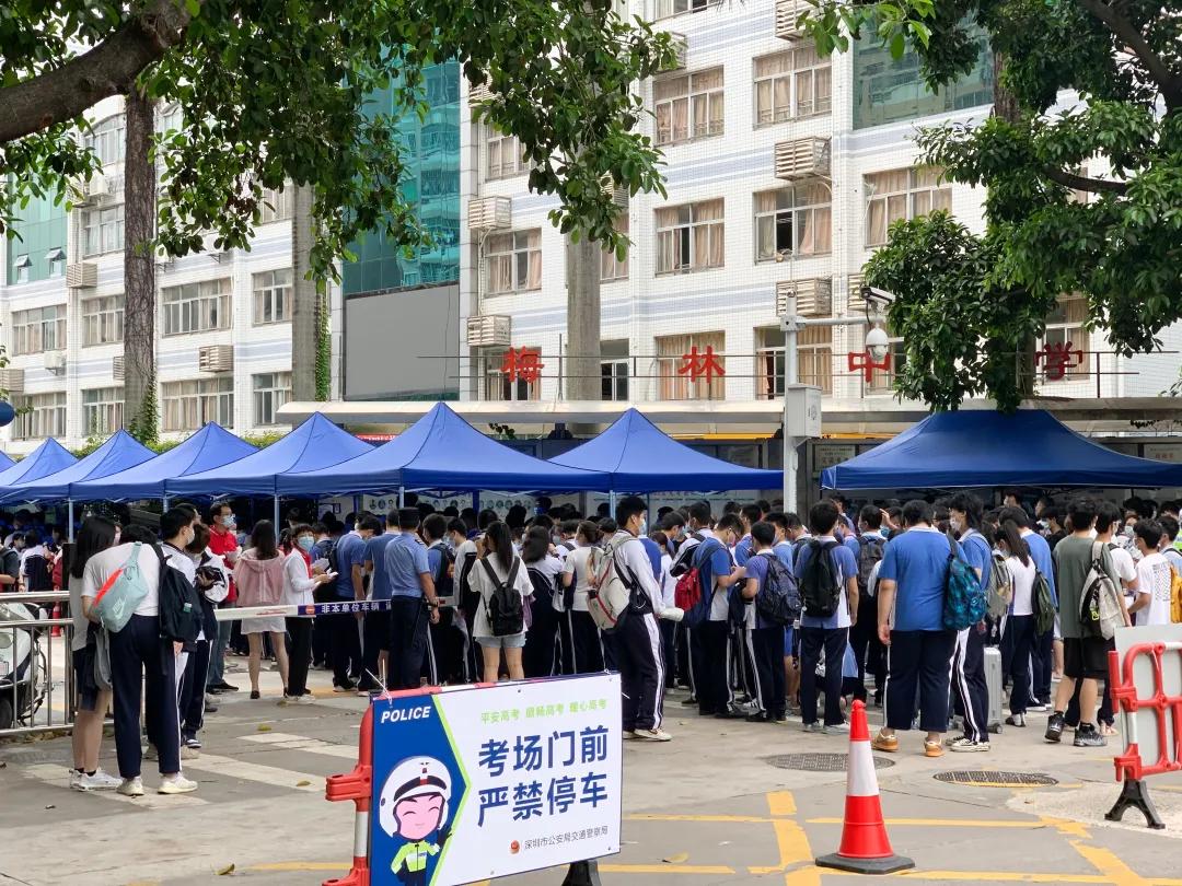 萌娃、萌宠纷纷抢镜!今年高考作文,深圳学生躺赢?