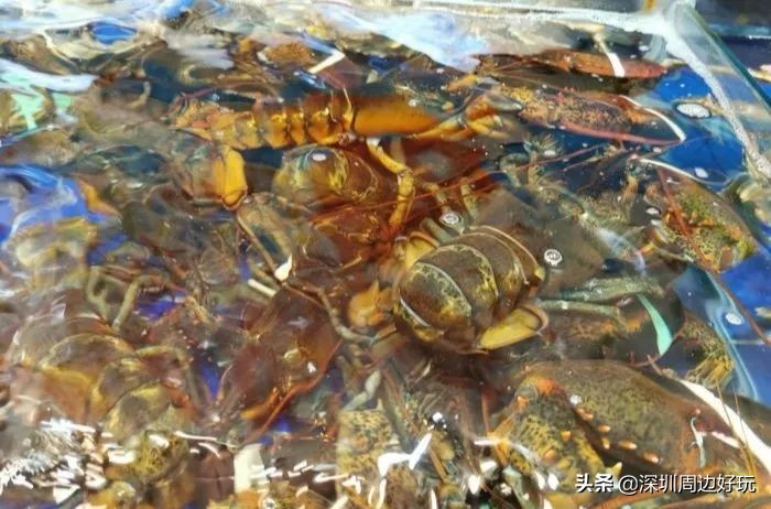 深圳地铁三号线沿途美景与美食,深圳9号线哪个地铁站有美食