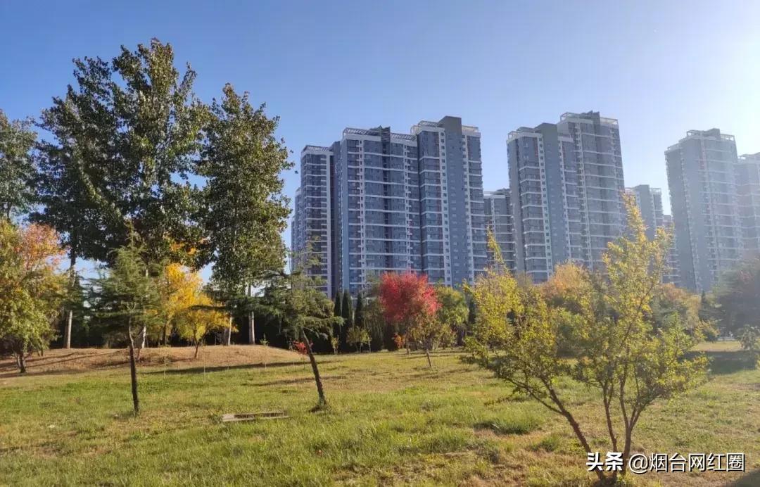 现在是2019年3月份，你们对烟台大学的了解到底有多少呢？