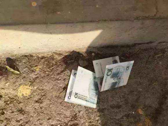 老人们常说捡钱忠告知乎,农村老人丢钱会怎么样