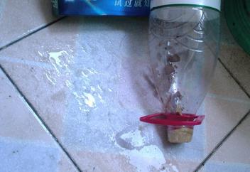 如何快速彻底消灭蟑螂的方法,如何快速消灭蟑螂最有效的方法