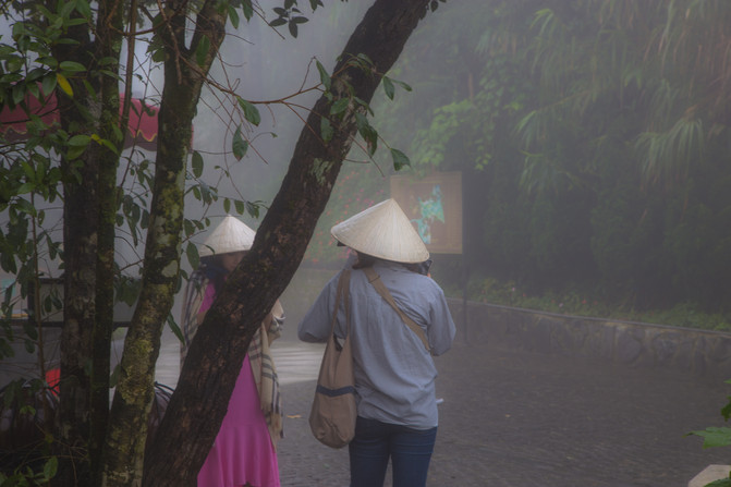 华人在越南经济地位,华人在越南的历史