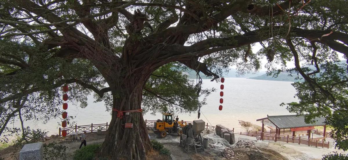 斜溪村旅游规划,斜溪村度假村