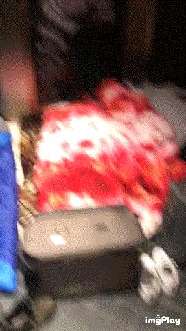 代购刷货团真的存在吗,代购刷货团