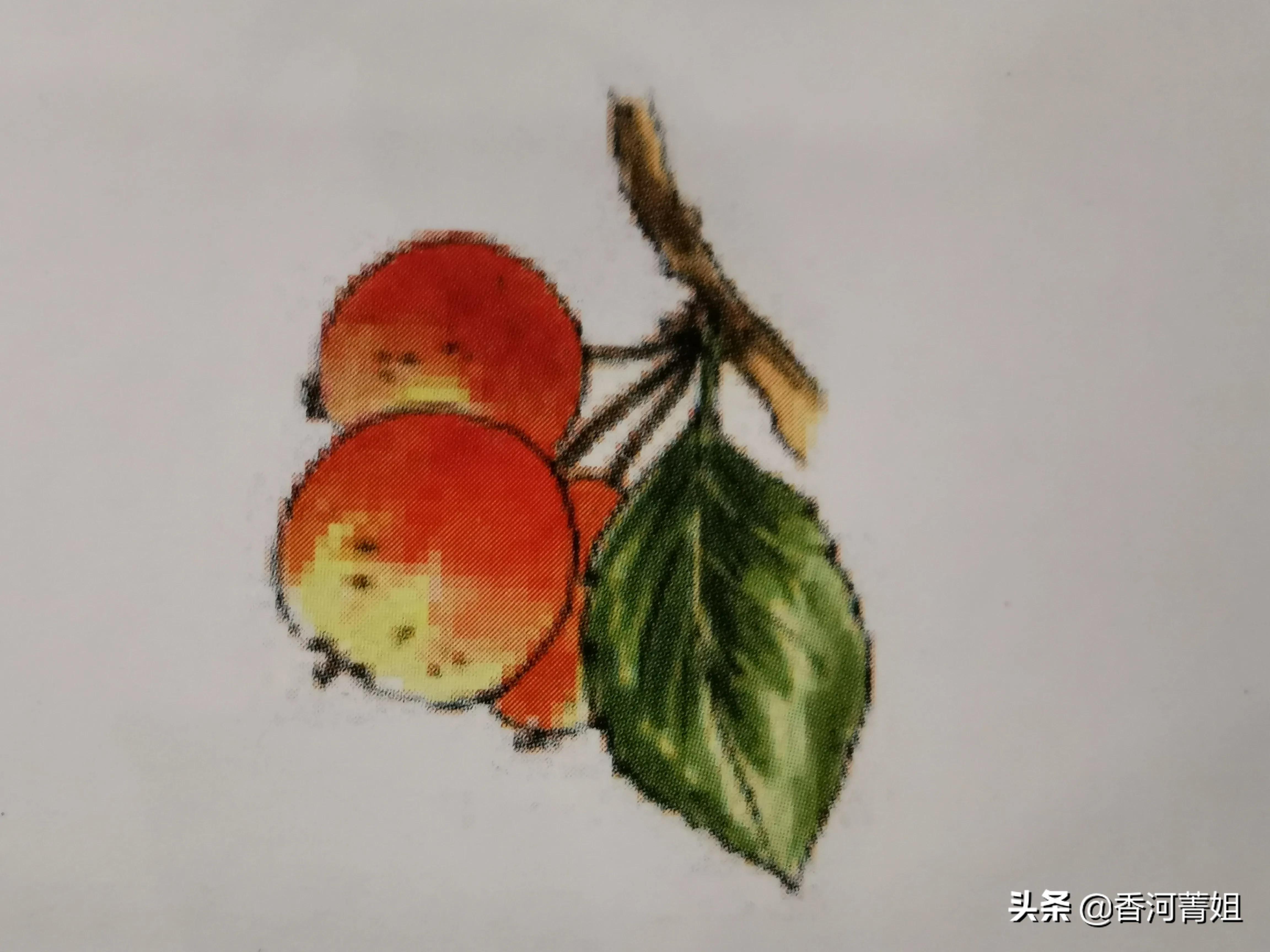 苹果木韧性,苹果木