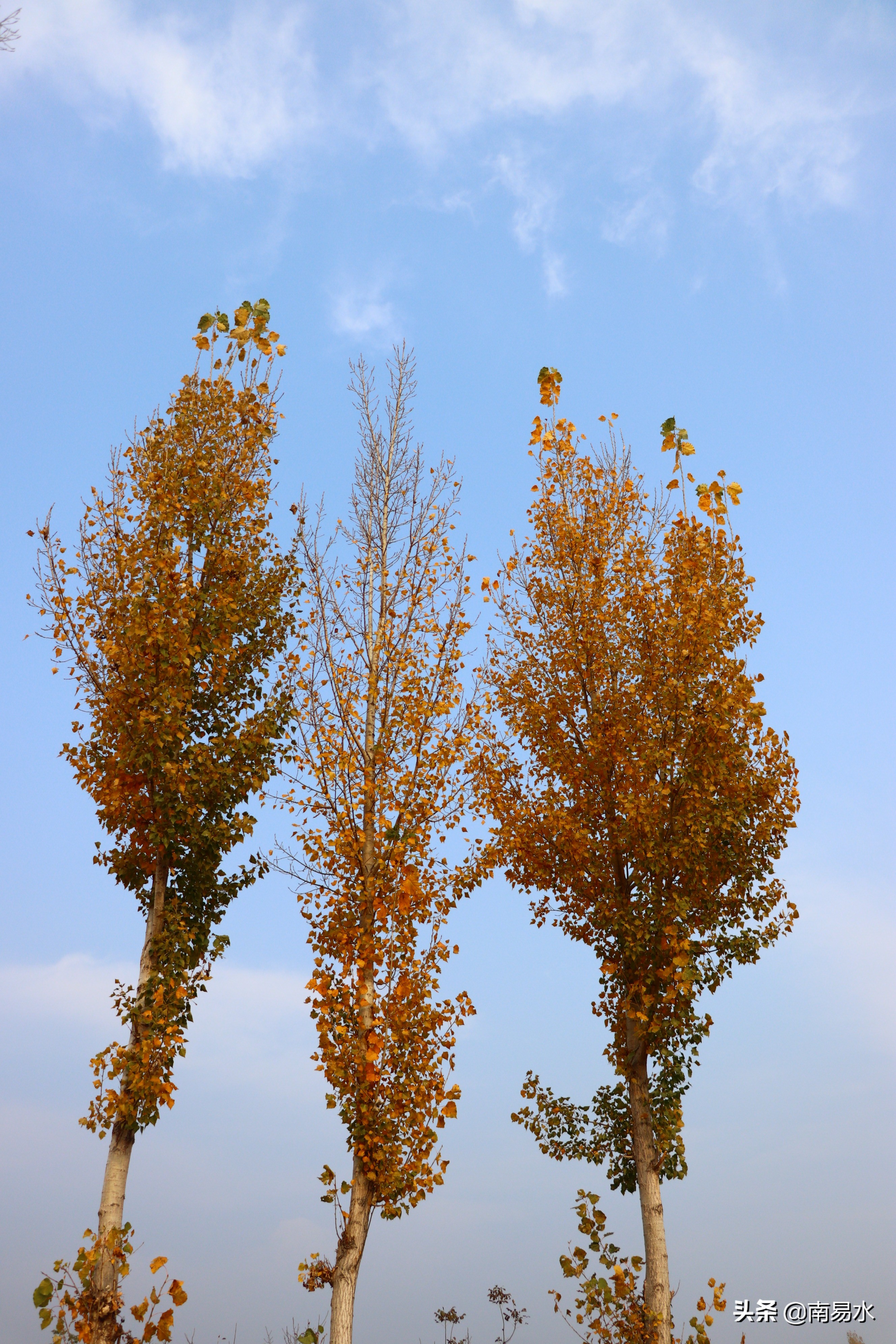 家乡风景带你一起感受自然的味道,令你难以忘怀的家乡的味道
