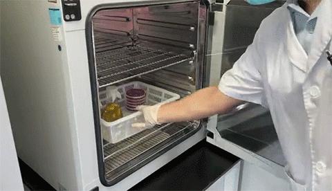 超火的鲜切水果能放心食用吗,鲜切水果真的不好做吗