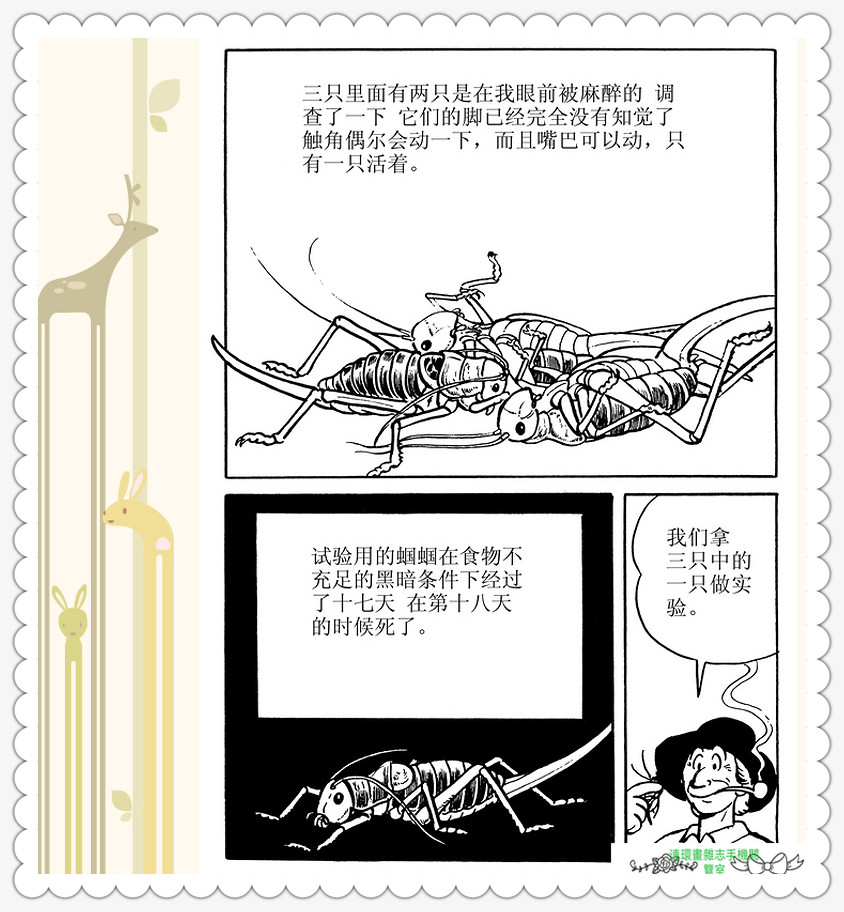 昆虫记法布尔动画片,昆虫记法布尔全套