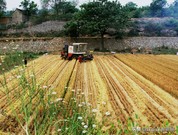 农业创业三大陷阱,农业创业必须知道的五大雷区