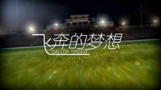 英超升降机是诺丁汉森林吗,英超升降级常客