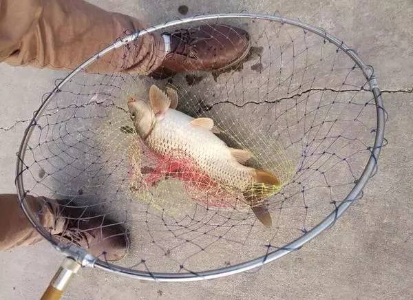 悬坠钓线组图解,悬坠钓法钩子都是斜着触底的