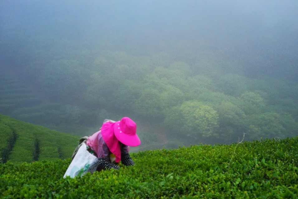 7天川藏自驾来回够吗,180公里浙西川藏线