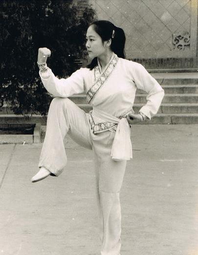 一部几十年火遍全国的功夫电影,美国的中国功夫电影