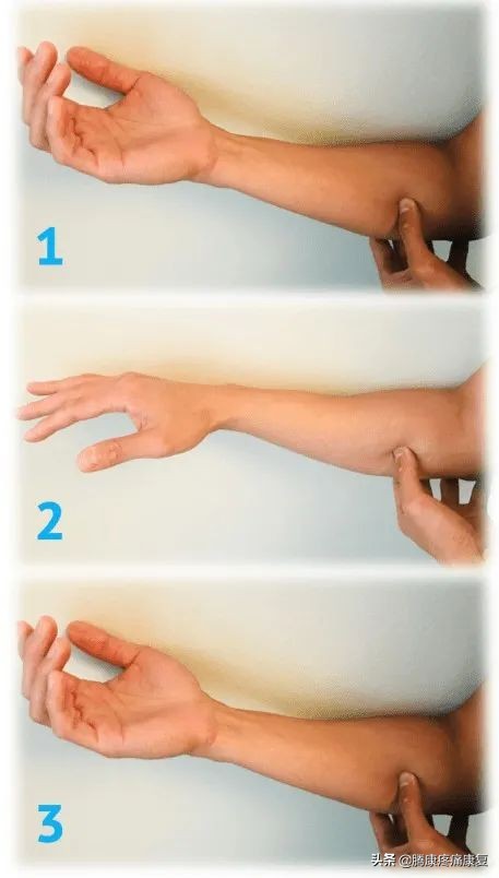 腕和手的多处屈肌和肌腱损伤,前臂神经卡压原因