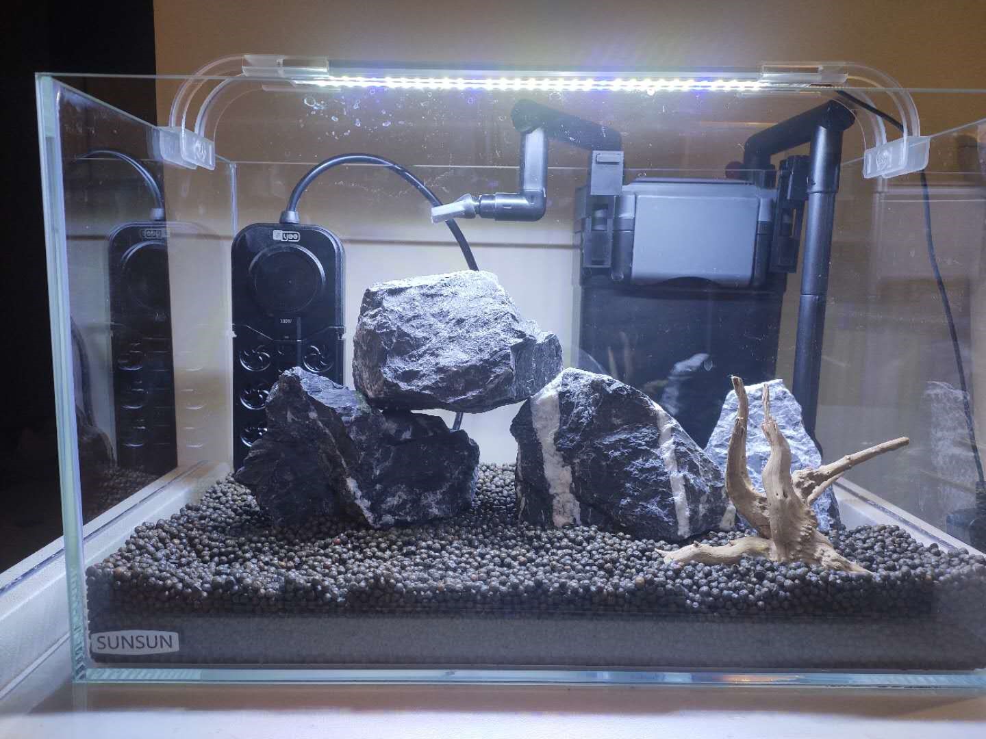 新手养鱼怎么入手？350元，开启养鱼之旅，新手小白开缸记