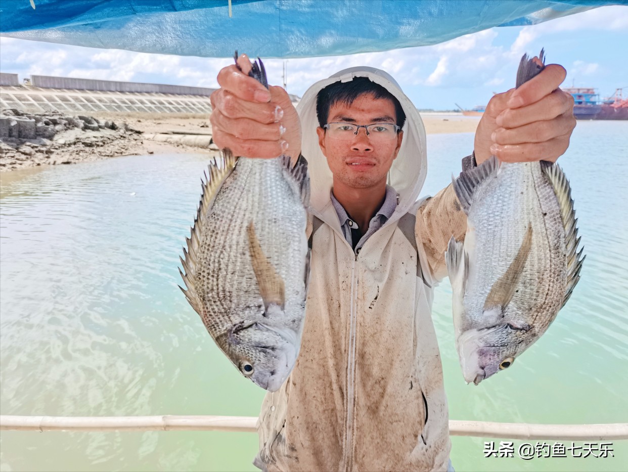 出海钓鱼一年赚百万,出海钓鱼真实收入