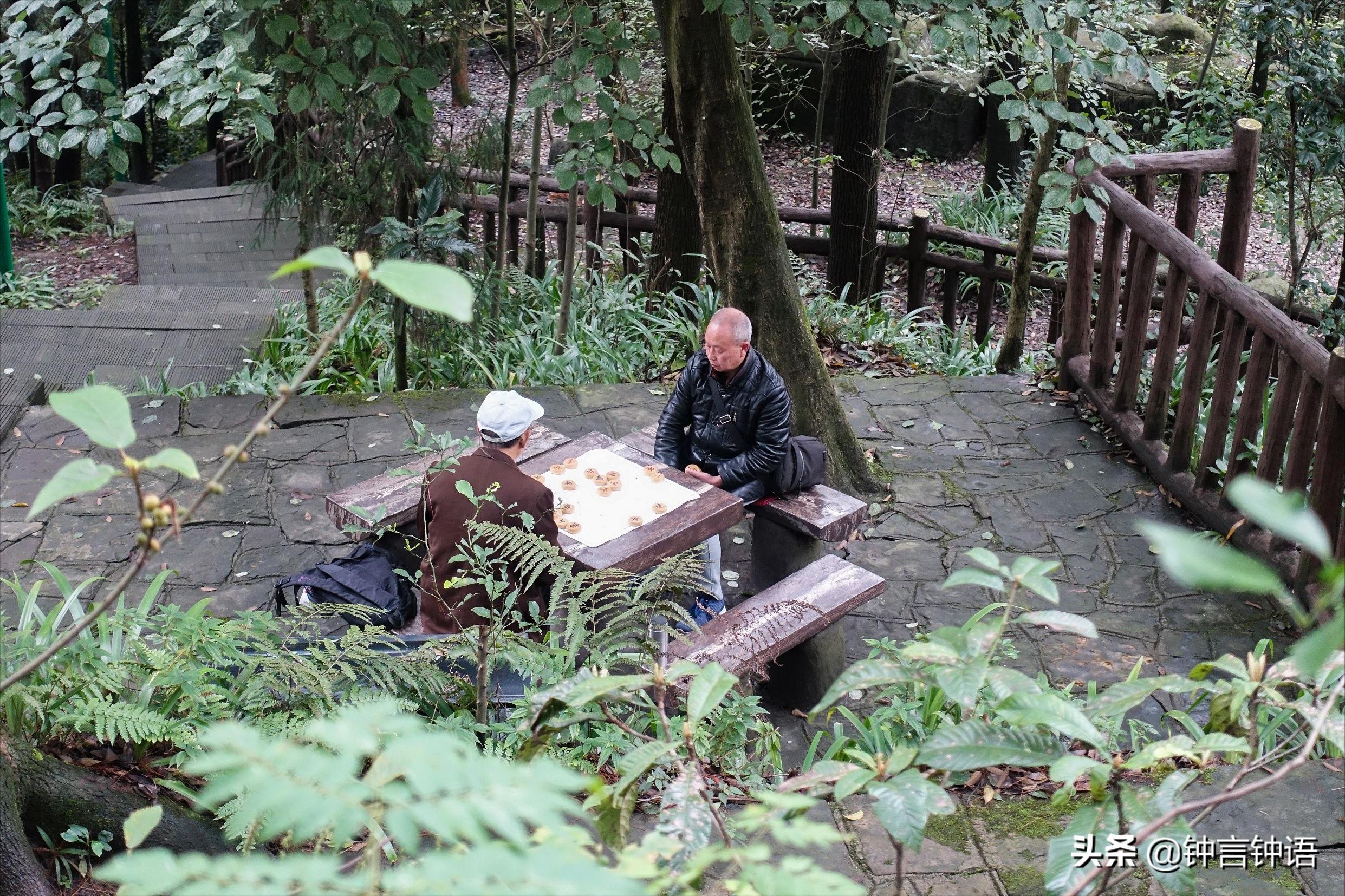 寻找消失已久的“歌乐灵音”：重庆歌乐山半日游