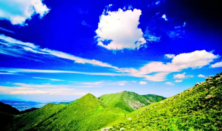 关于河北张家口的电视剧,河北的张家口地区